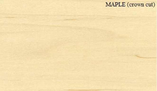 MAPLE Thick constructional veneer